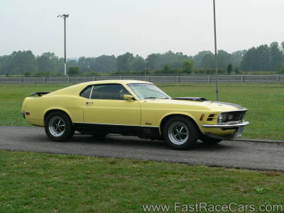 MUSTANG